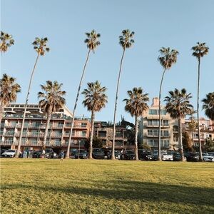 Meet your Posher, Ana